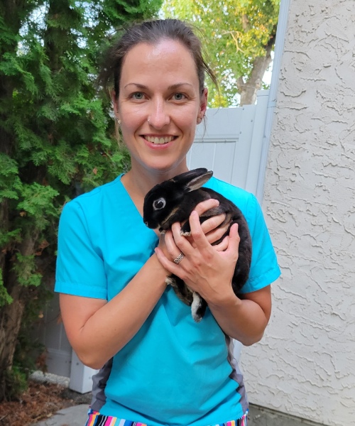 Dr. Brittany Johnsgaard, DVM - Owner