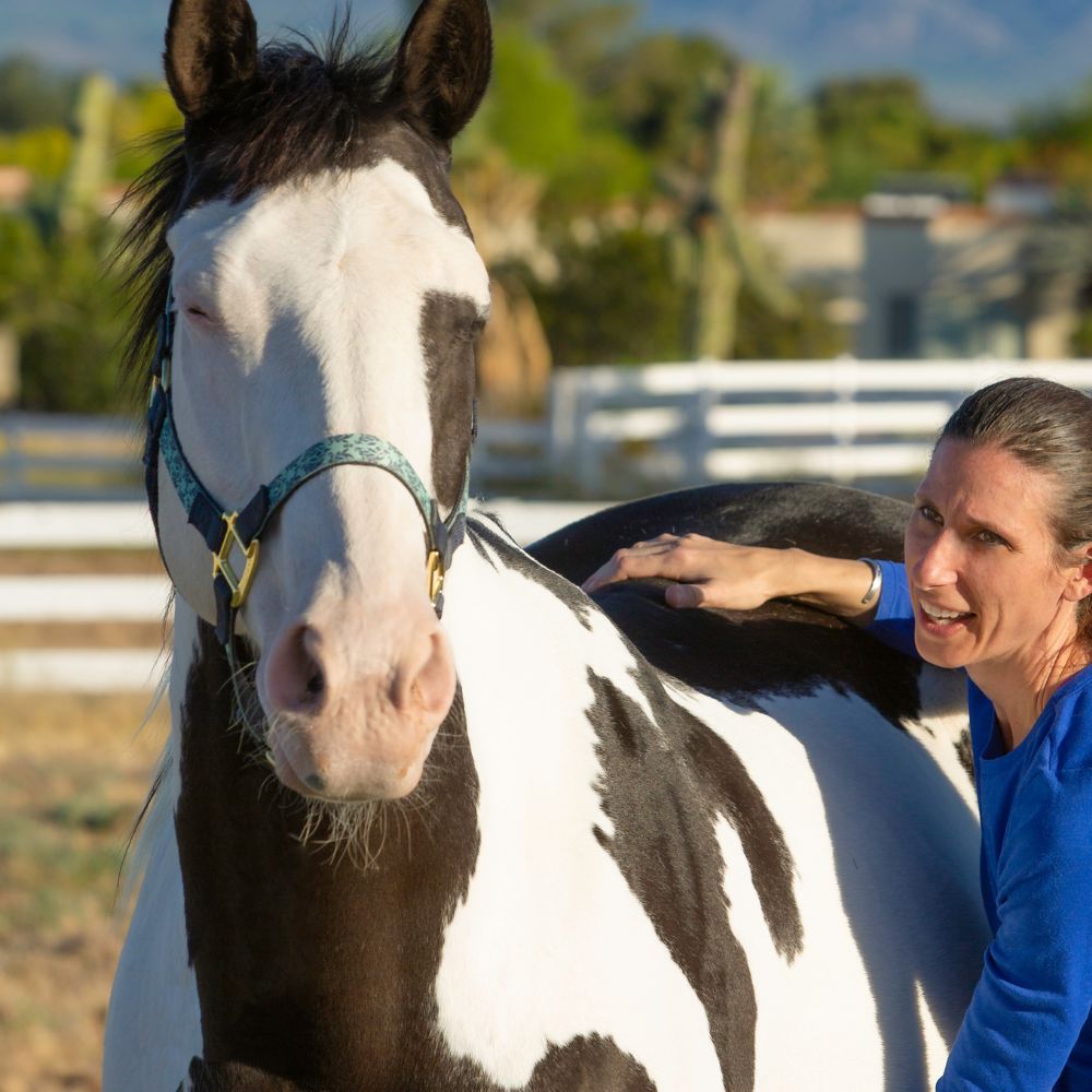 A woman standing next to a horse