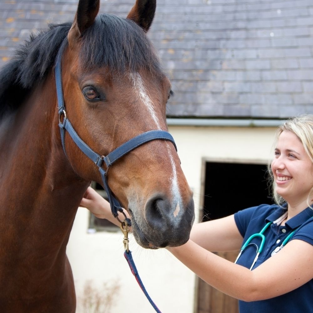 A woman is petting a horse